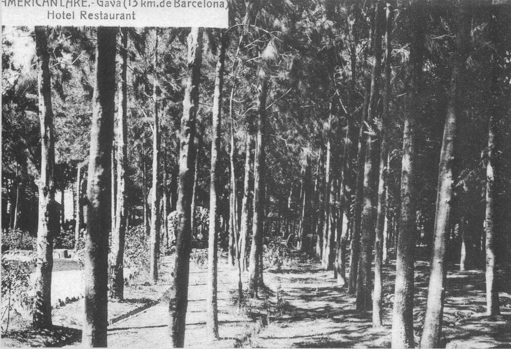 parque15
