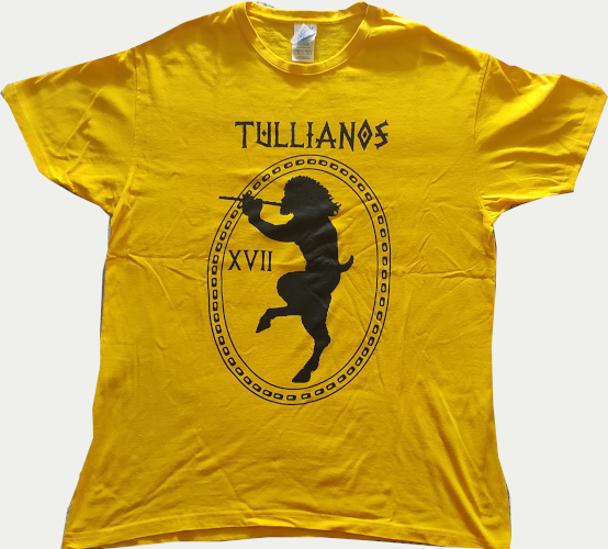 camiseta30