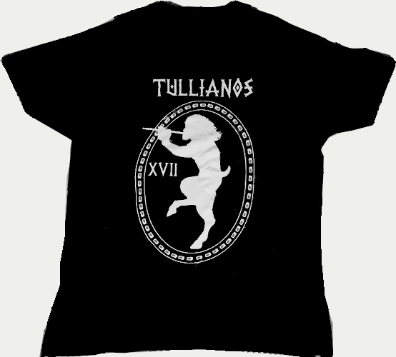 camiseta30